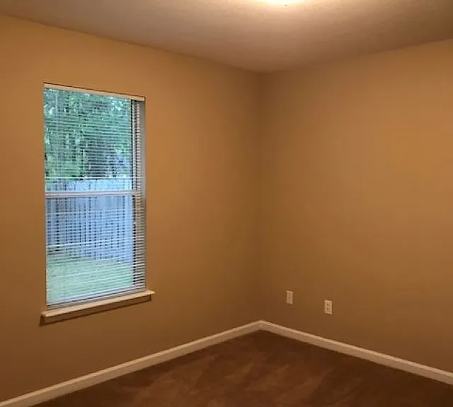 2810 Dumont Dr — Photo 11