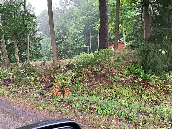 2nd image of 77240 Summers Gate Cir