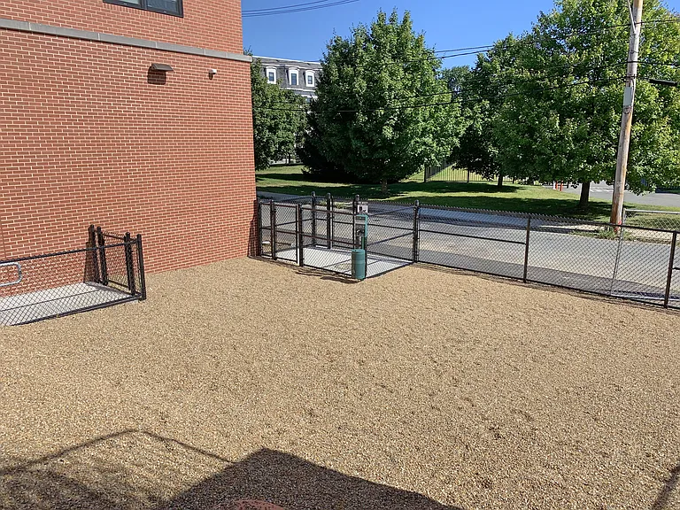 Dog Park