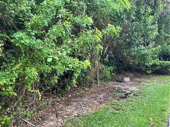 3rd image of 450 Live Oak Dr