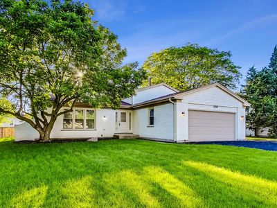 4000 Williams St, Downers Grove, IL, 60515