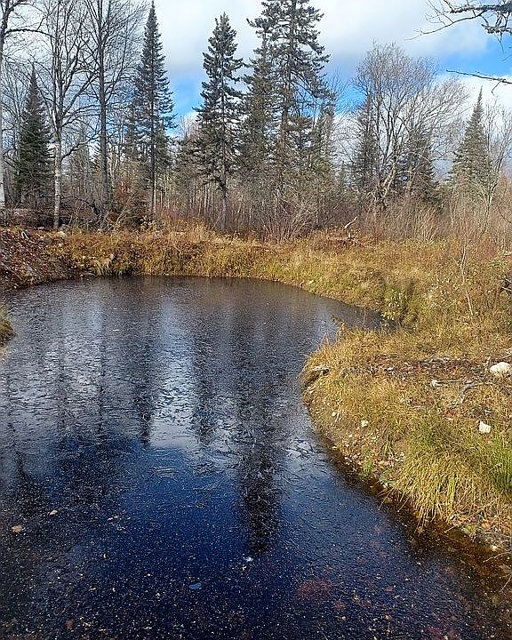 4571 Forest Rd 609, Finland, MN 55603 Zillow