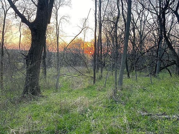 3rd image of LOT 1 195th St