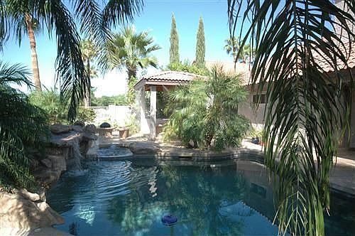 Back Yard Oasis