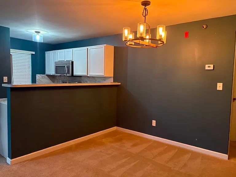 9201 Spring Creek Ln — Photo 30