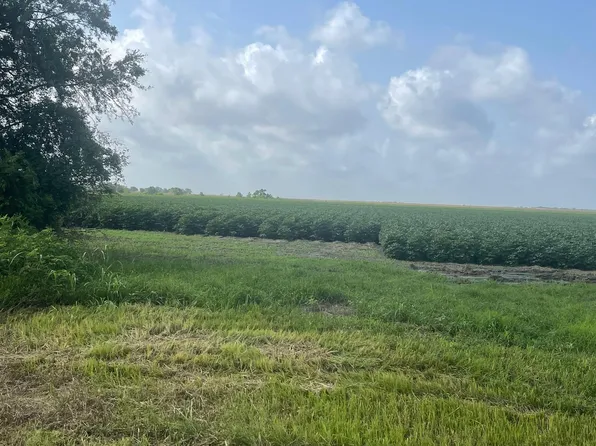 10815 Koym Rd, Beasley, TX 77417