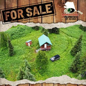 0 Shelford Ave, Ninilchik, AK, 99639