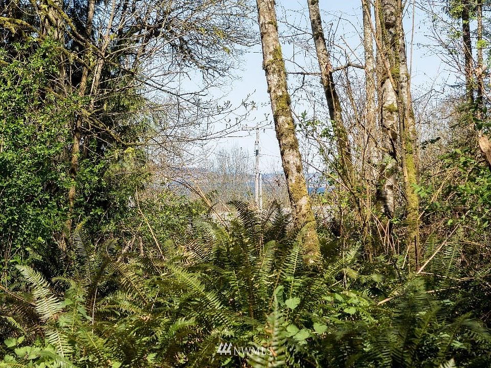 View from the upper parcel