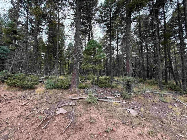 LOT 174 Snowbird Ln, Angel Fire, NM 87710