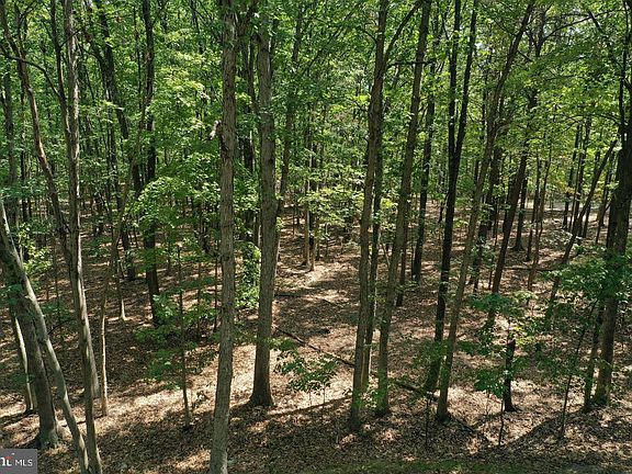 4th image of Walnut Ridge Rd
