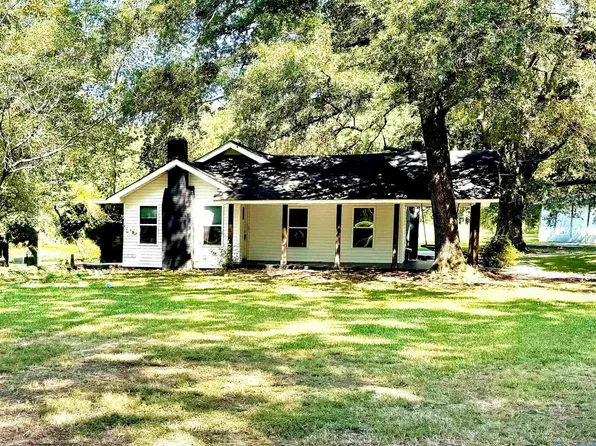 9802 Rocky Ford Rd, Piedmont, AL 36272