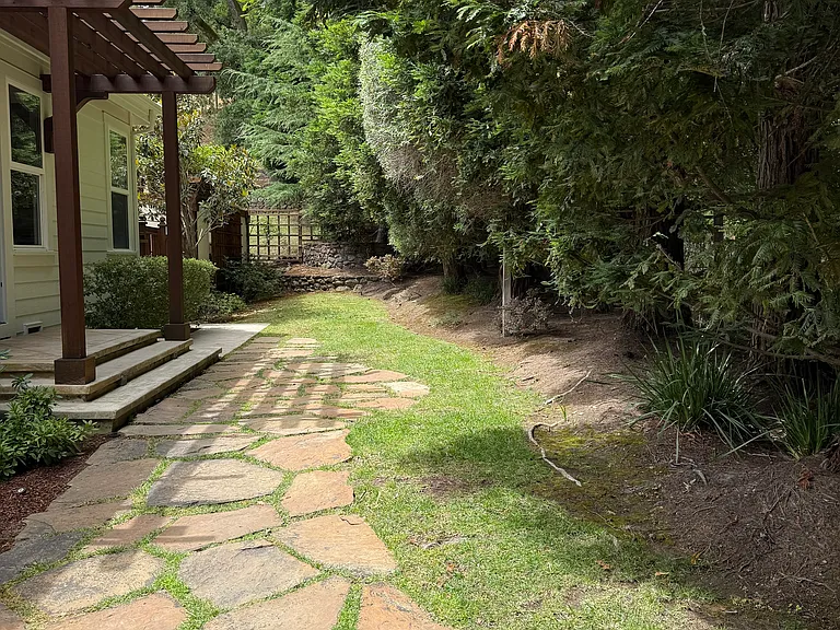 Private side yard with tall redwoods