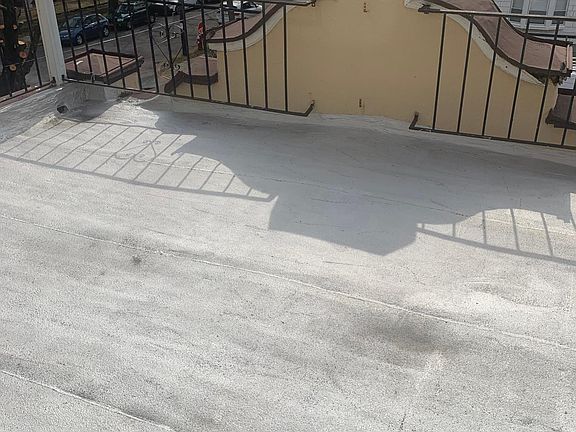 3rd image of 243 Primrose Ave