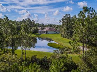 19221 Pelican Ridge Ln, Tampa, FL 33647