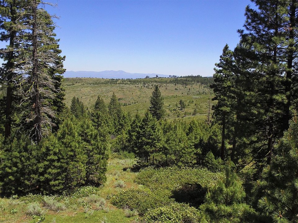 1st image of Honey Bee Ln