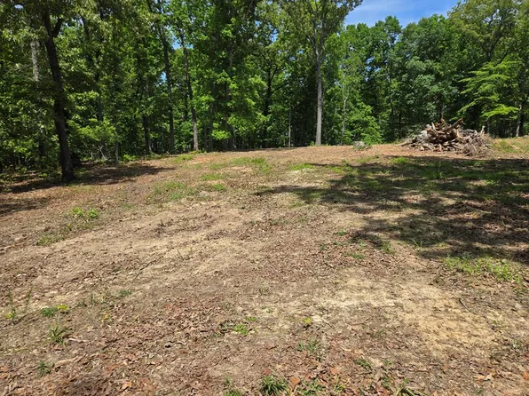 730 Swan Bay Dr, Buchanan, TN 38222