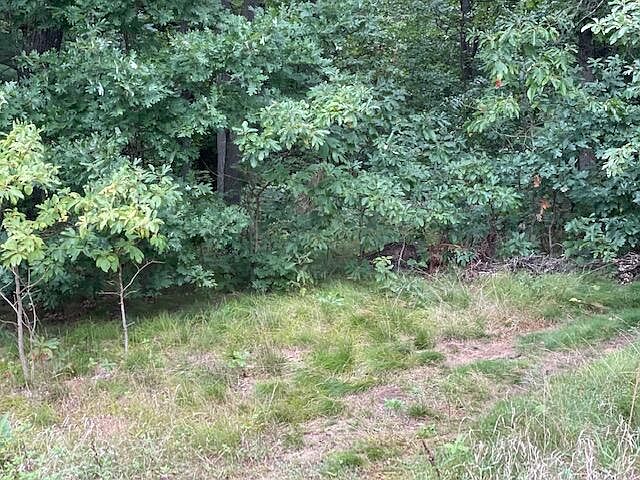 2nd image of 298 E Towering Oaks Cir