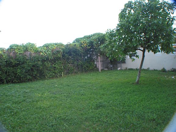 PART OF BACK YARD