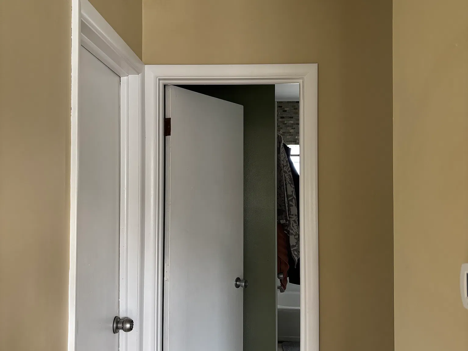 5 bed, 1256 sqft, $3,000 — Photo 4