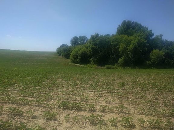 5th image of 38193 County 8 Blvd