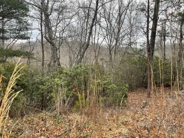 0 Sanderling Rd #325, Lake Lure, NC 28746