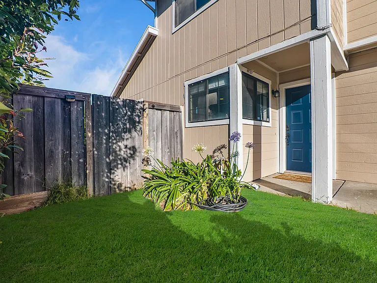 Azores Cir — Photo 5