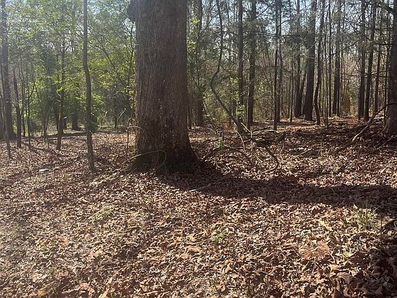 2nd image of 0 Crystal Lake Rd #0