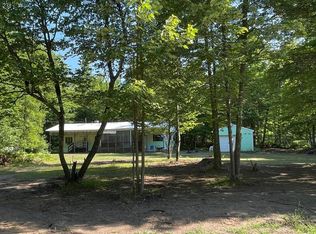 5586 W Washing St, Irons, MI 49644