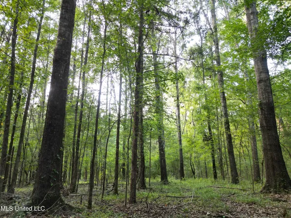 2435 Highway 43 N, Canton, MS 39046