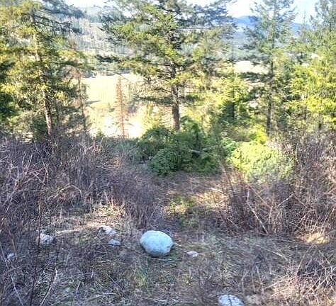 5th image of 2462X Highway 25 Hwy N