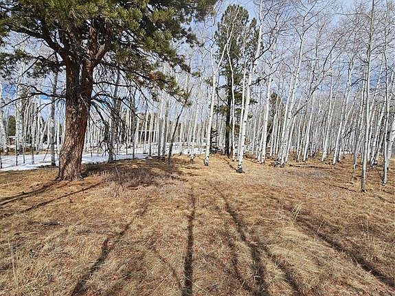 3rd image of 417 Aspen Way Dr