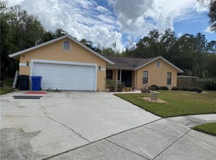 3420 Bloomingdale Oaks Dr, Valrico, FL 33596