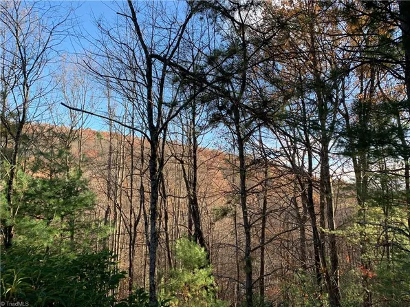 LOT 1 Dugger Firetower Rd Lot 1, Lenoir, NC 28645
