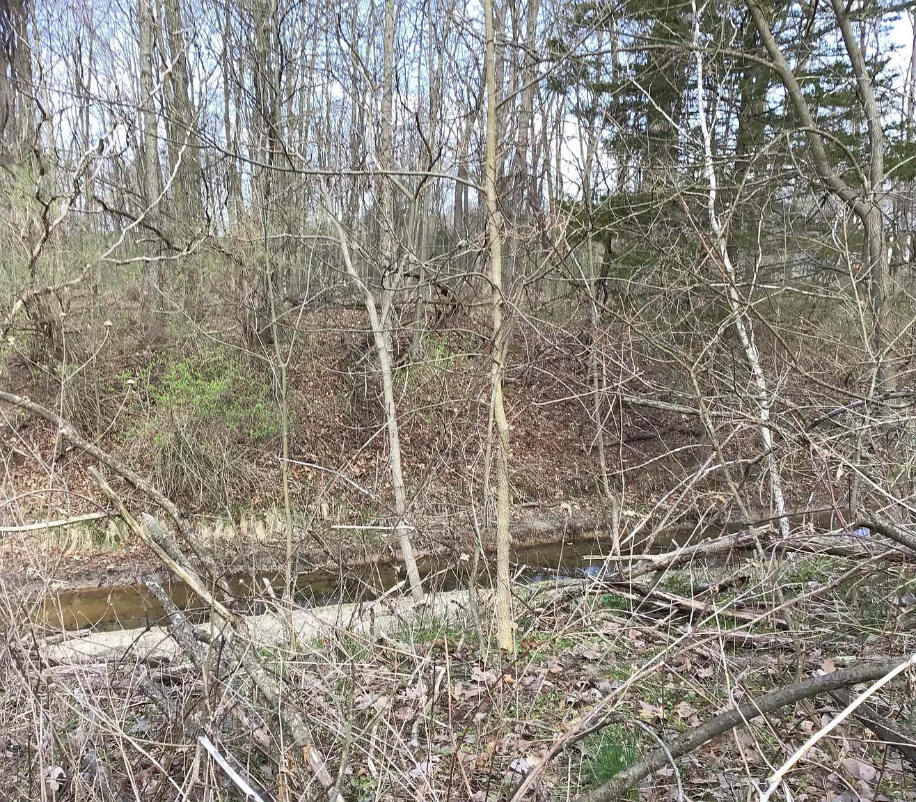Briarwood Dr photo 1