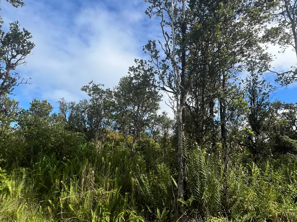 Wailele St Lot 30, Mountain View, HI 96771