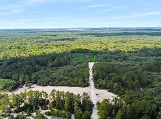 0 Medicine Stone Dr, Webster, FL 33597