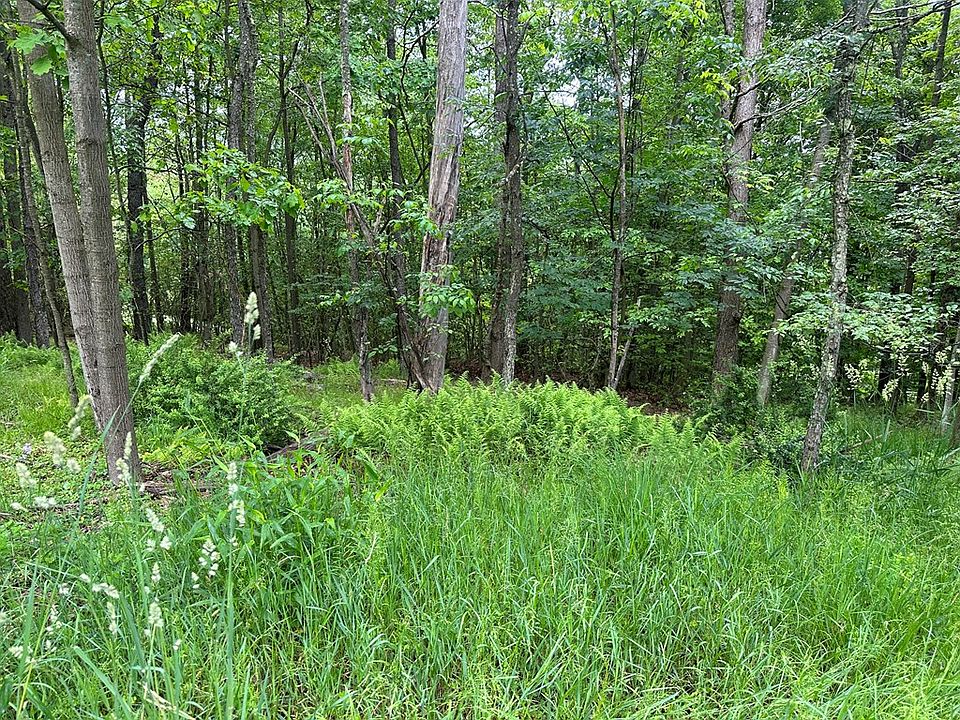 2nd image of 0 Academy Hill Rd