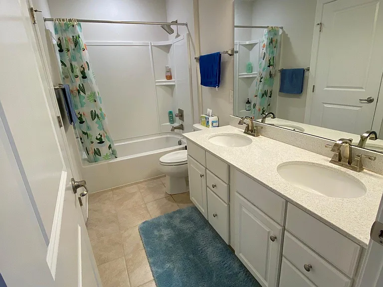 Hall bathroom