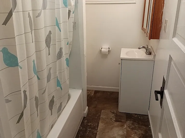 48 Mineral Springs Rd #1 — Photo 7