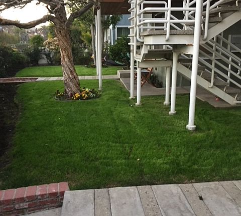 4th image of 2916 Grand Canal Ct