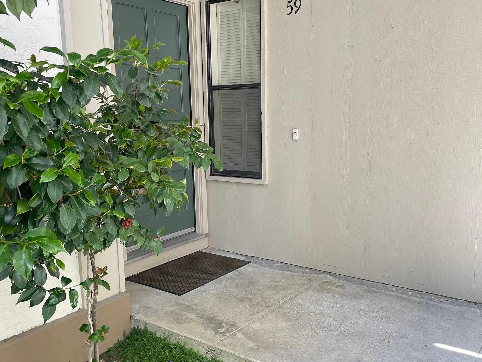 3 bed, 1550 sqft, $4,950 — Photo 2
