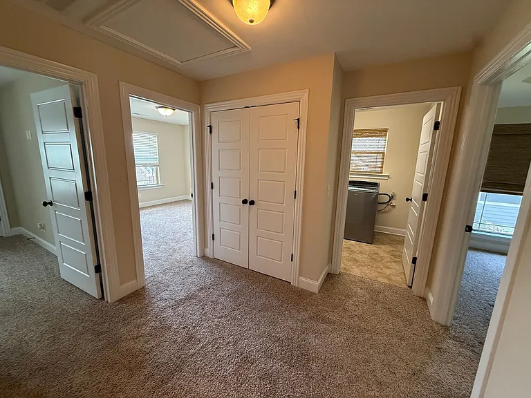 8153 Perfect Vw — Photo 8