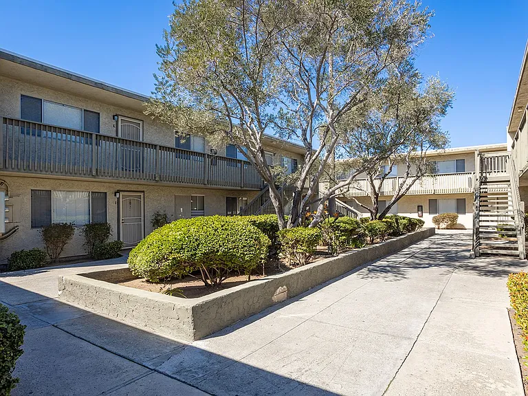 Olive Tree Manor — Photo 16