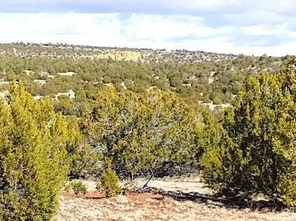 5 Lots in Show Low Pines -- #75,82,239,334 & 464, Concho, AZ 85924