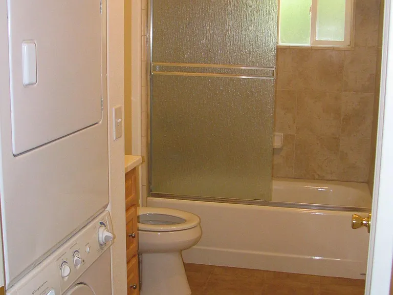 Main Bathtub and shower room.