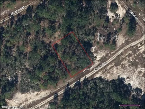 396 Stardust Ave, Lake Placid, FL 33852