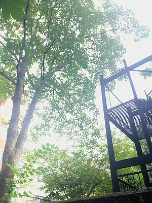 Rented by The Find NY | media 11