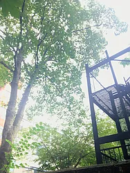 Rented by The Find NY