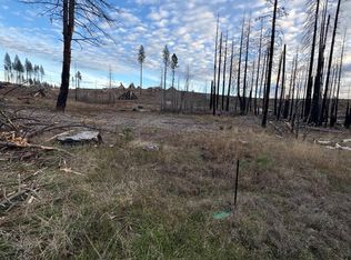0 Forest Glen Dr, Grizzly Flats, CA 95636