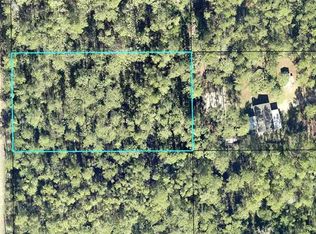 2185 Hazelnut St Lot 8, Bunnell, FL 32110